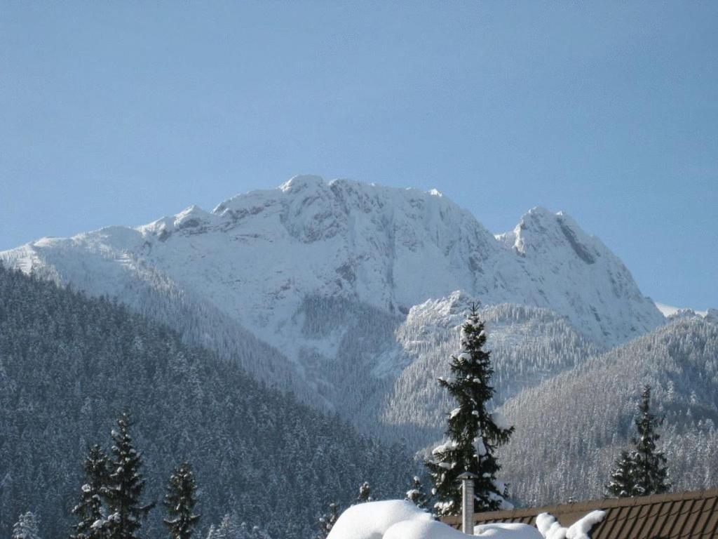 Apartments Zakopane Center Dış mekan fotoğraf